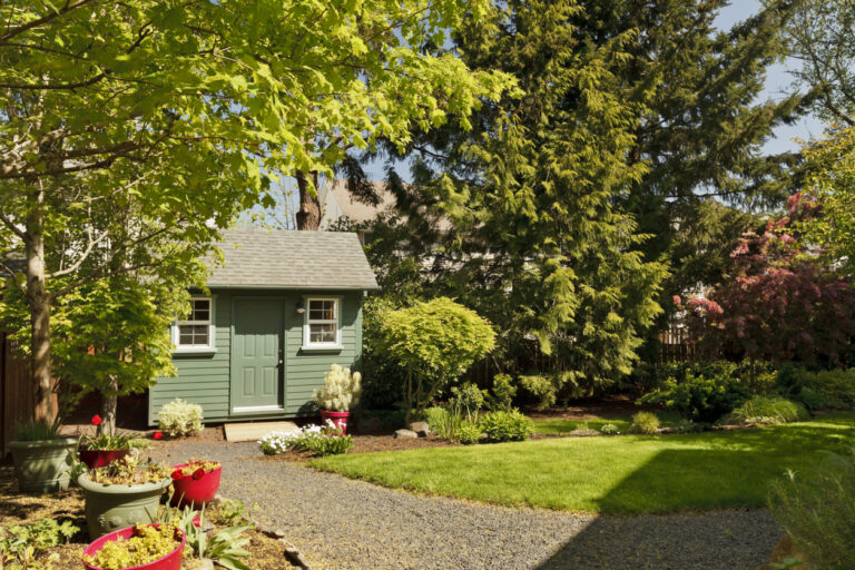 small green gaming shed in backyard surrounded by gardens