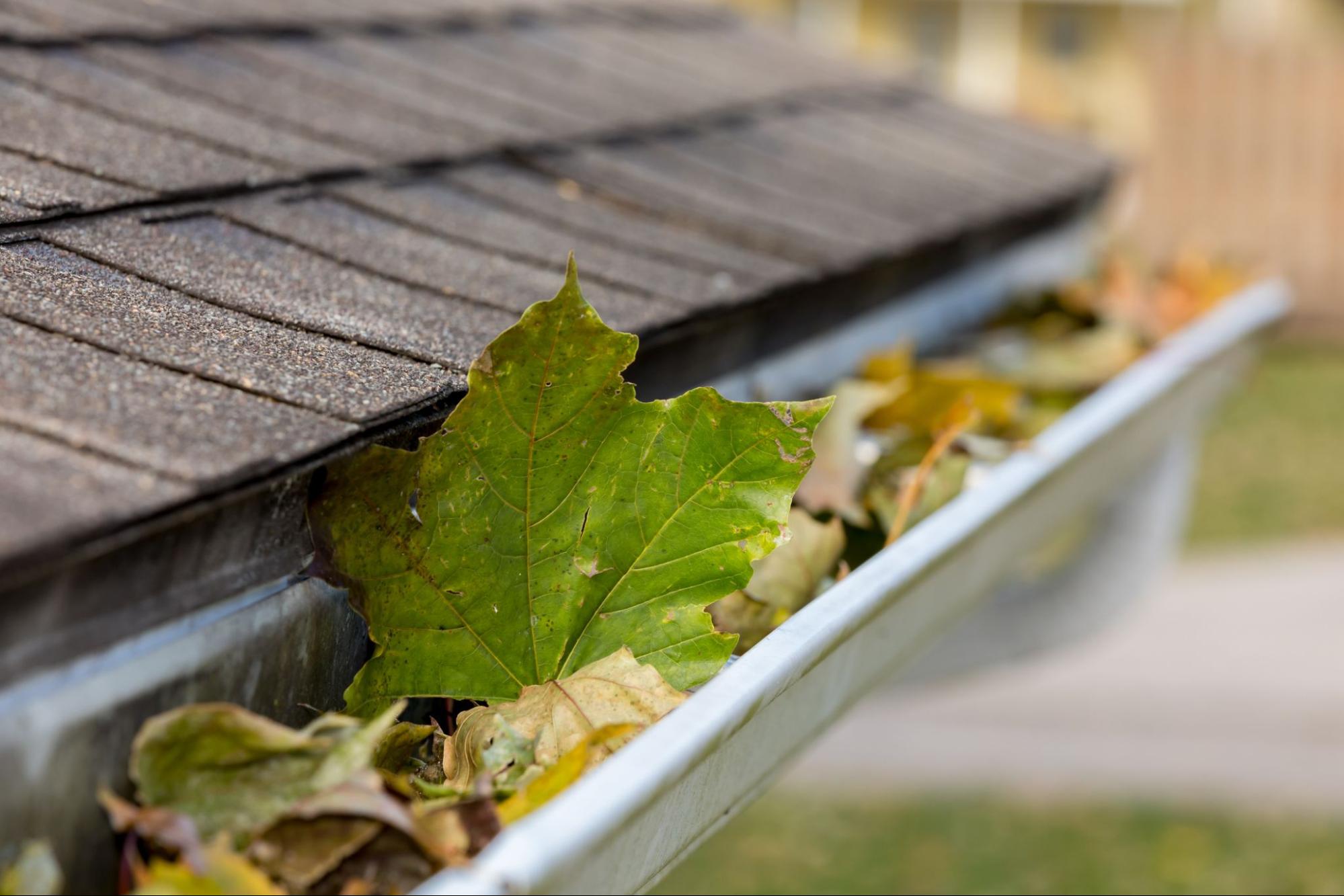 gutter-attached-to-garage